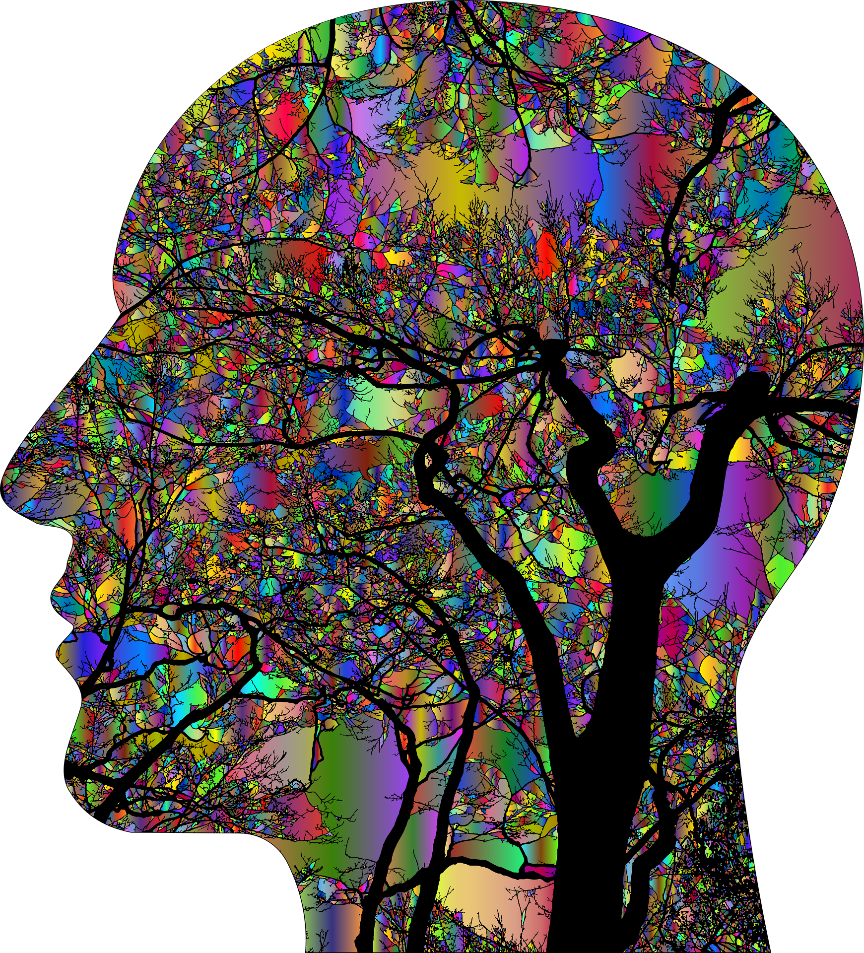 O que é Terapia Cognitiva Focada em Esquema?